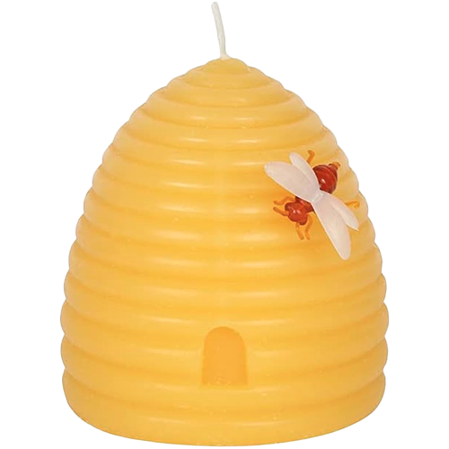 abeille-sur-sa-maison